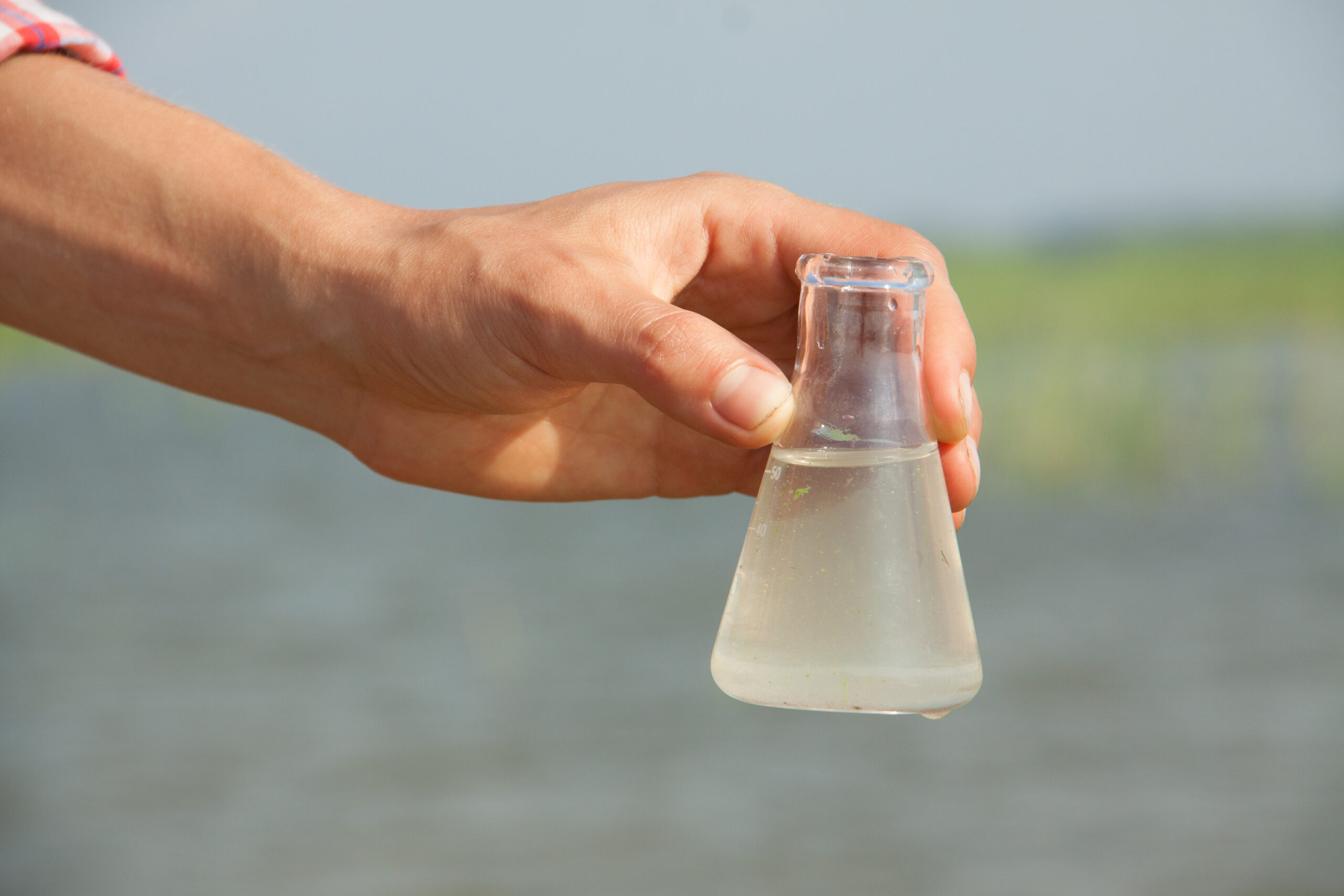 hand holding a water test